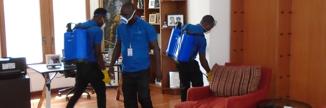 Irresistible Pro Cleaning Company